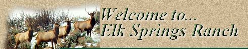 Welcome to Elk Springs Ranch!